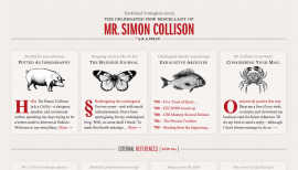 Simon Collison