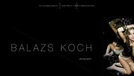 Balazs Koch